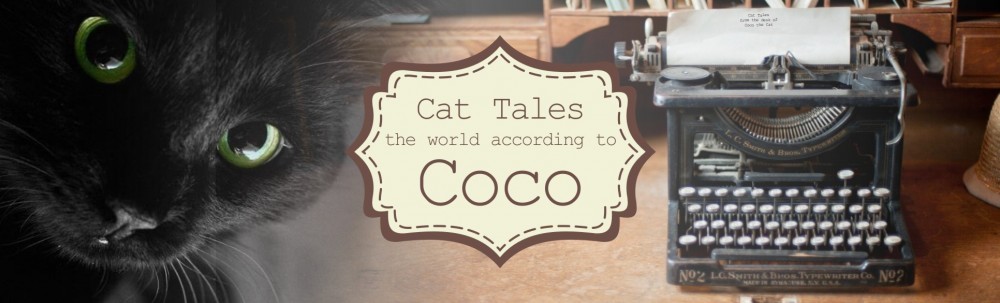 Cat Tales  The world according to Coco